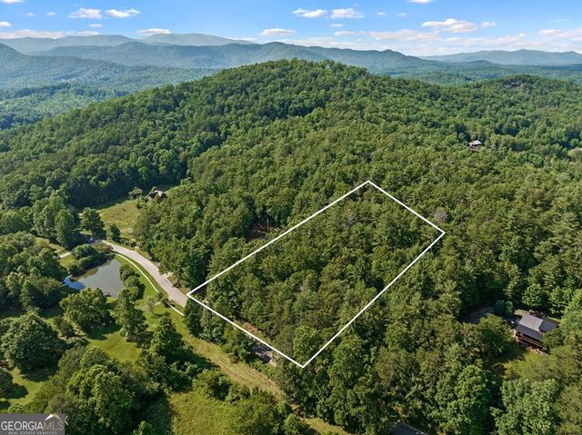 2 AC Ritchie Creek Road, Blue Ridge, GA 30513