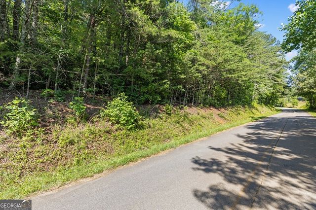 2 AC Ritchie Creek Road, Blue Ridge, GA 30513