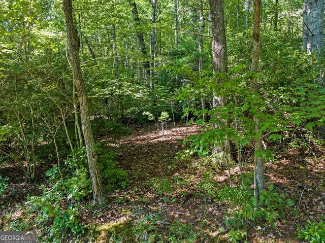 2 AC Ritchie Creek Road, Blue Ridge, GA 30513