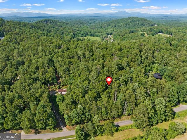 2 AC Ritchie Creek Road, Blue Ridge, GA 30513