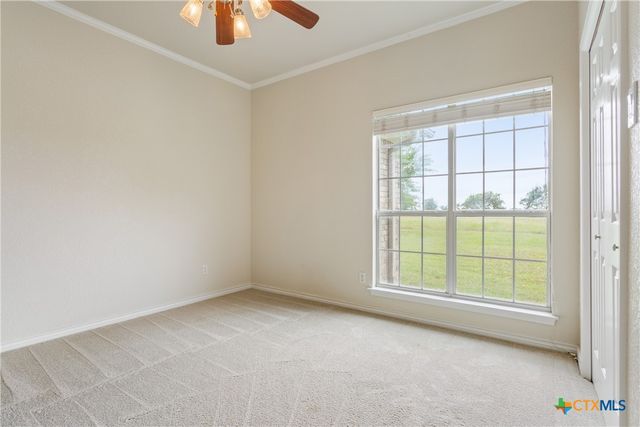 2576 Primrose Trail, Temple, TX 76501