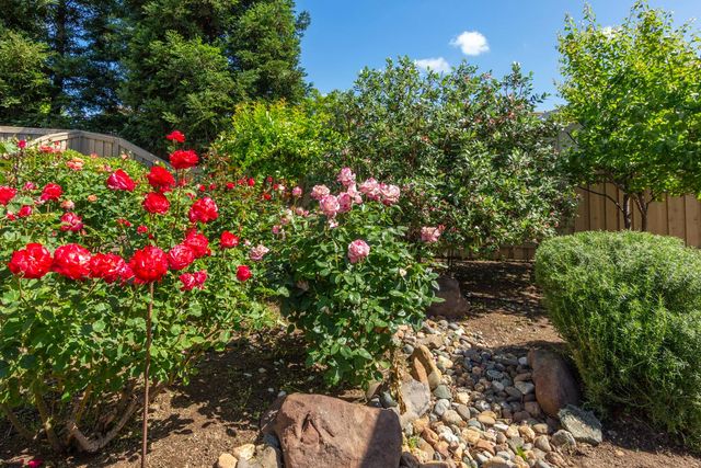 1260 Freschi Ln, Lincoln, CA 95648