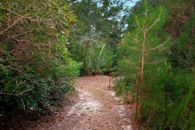 TBD Sky Oak Lane, Huntsville, TX 77340