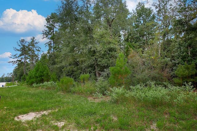 TBD Sky Oak Lane, Huntsville, TX 77340