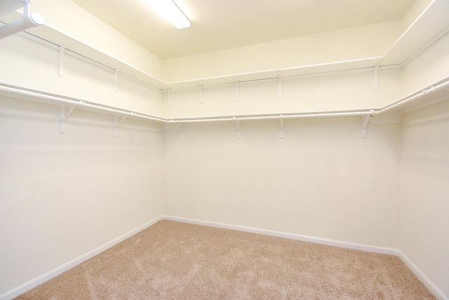 22246 Wave Hill Lane, Richmond, TX 77469