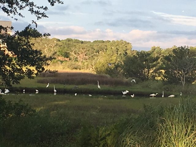 1626 Teal Marsh Road A, Charleston, SC 29412