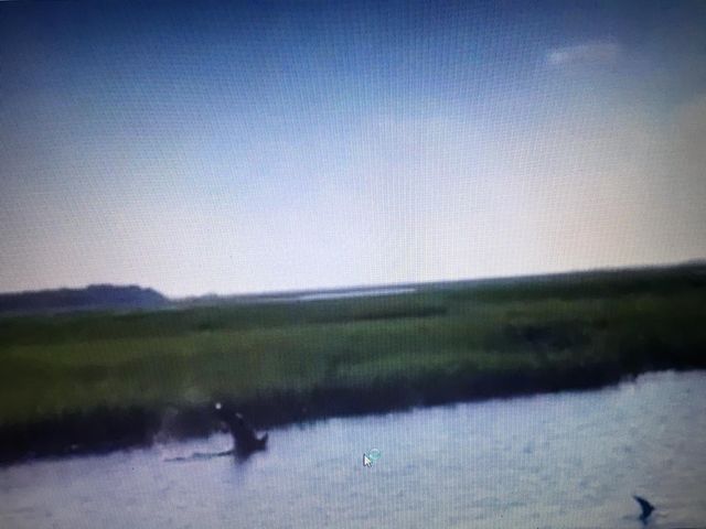 1626 Teal Marsh Road A, Charleston, SC 29412