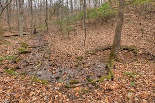 00 Spruill Drive, Ellijay, GA 30536