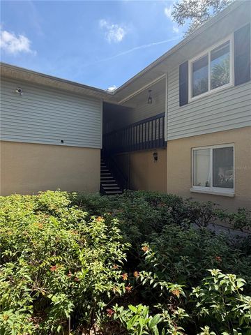 233 THORN TREE PLACE, Brandon, FL 33510