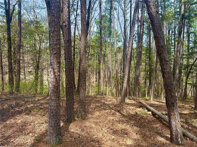 17 Pine Crest Lane, Eureka Springs, AR 72632