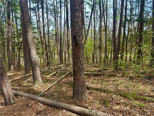 17 Pine Crest Lane, Eureka Springs, AR 72632