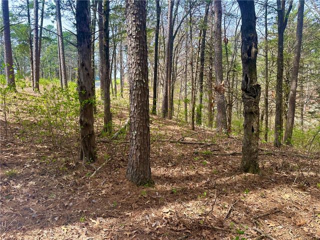 17 Pine Crest Lane, Eureka Springs, AR 72632