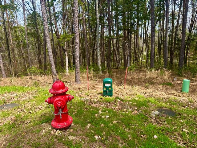 17 Pine Crest Lane, Eureka Springs, AR 72632