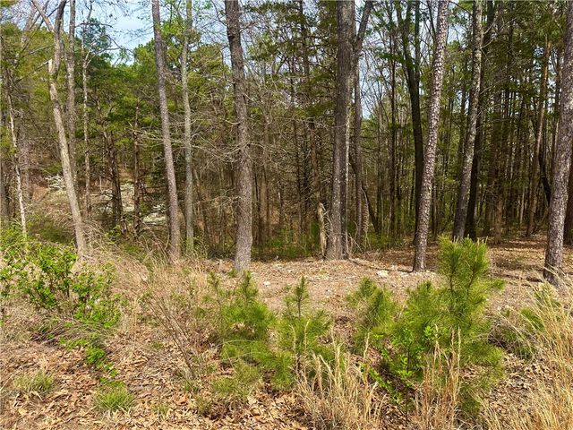 17 Pine Crest Lane, Eureka Springs, AR 72632