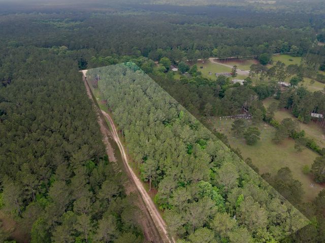 0 County Line Rd Road, Shepherd, TX 77371