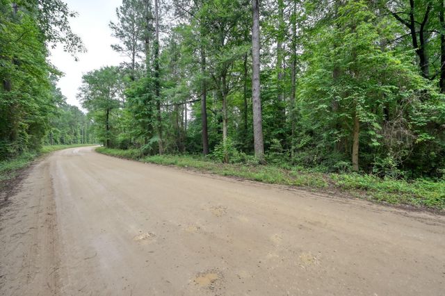 0 County Line Rd Road, Shepherd, TX 77371