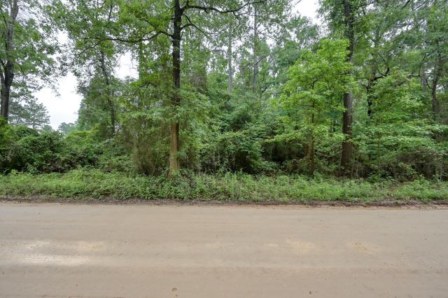 0 County Line Rd Road, Shepherd, TX 77371