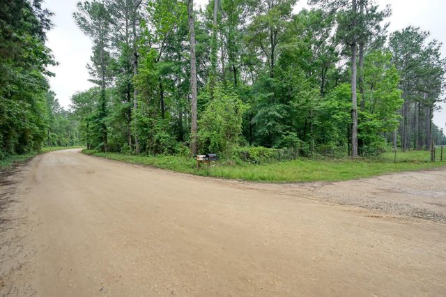 0 County Line Rd Road, Shepherd, TX 77371