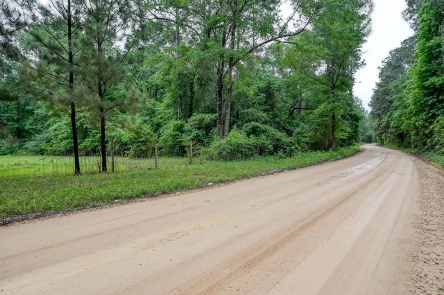 0 County Line Rd Road, Shepherd, TX 77371