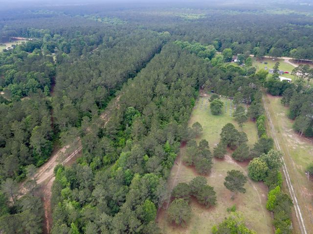 0 County Line Rd Road, Shepherd, TX 77371