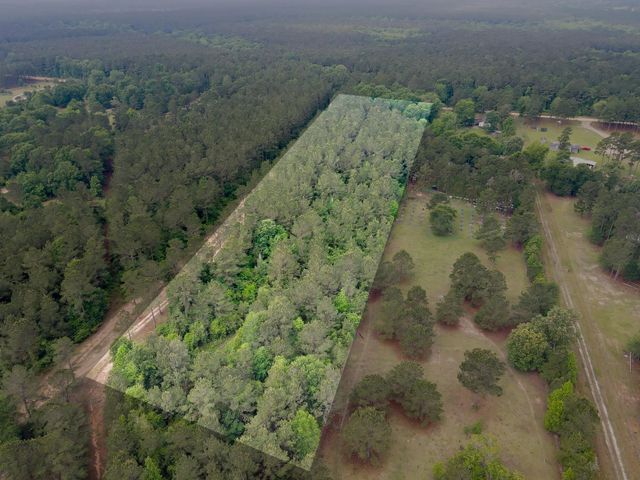0 County Line Rd Road, Shepherd, TX 77371
