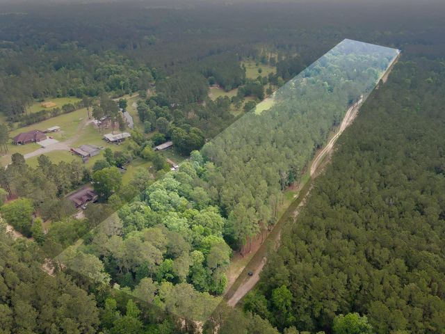 0 County Line Rd Road, Shepherd, TX 77371