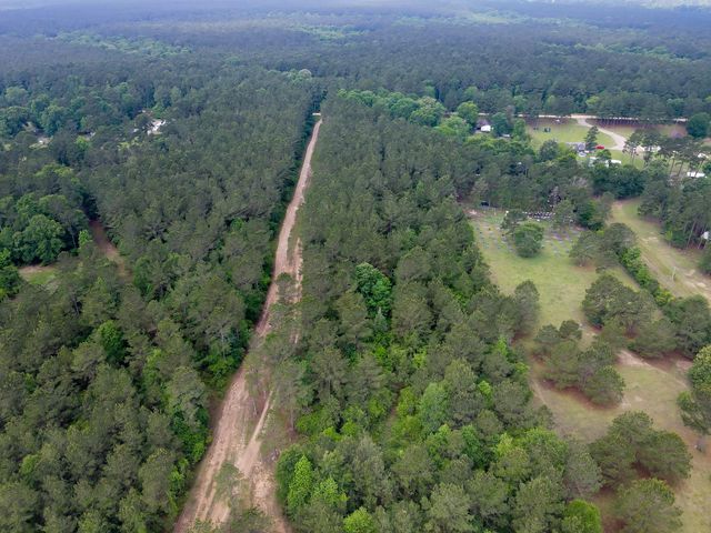 0 County Line Rd Road, Shepherd, TX 77371