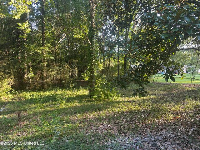 1249 Saint Augustine Drive, Pearl, MS 39208