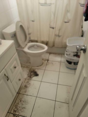 2241 Freedom Street, Hollywood, FL 33020