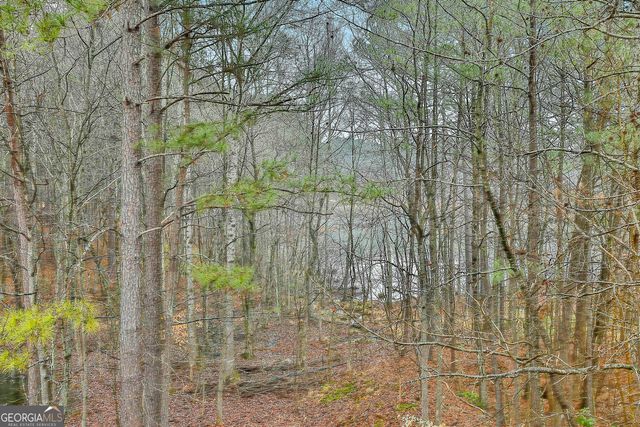 120 Meadow View Glen, Newnan, GA 30265