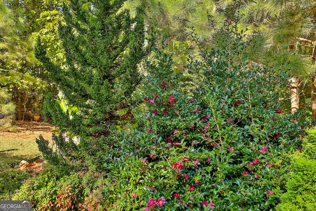 120 Meadow View Glen, Newnan, GA 30265