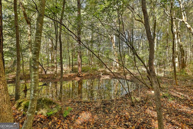 120 Meadow View Glen, Newnan, GA 30265