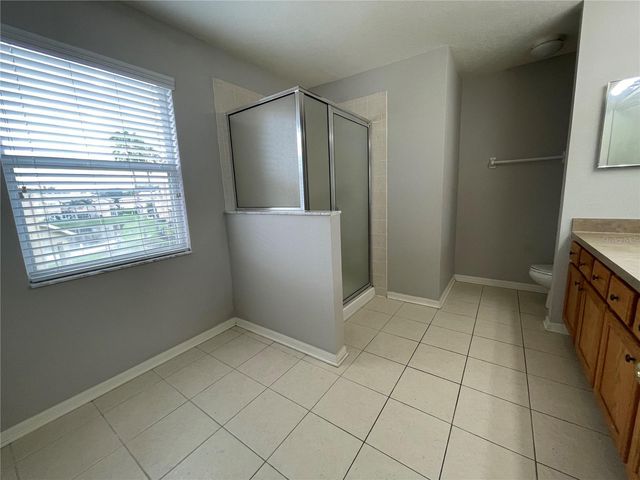 17535 STINCHAR DRIVE, Land O Lakes, FL 34638