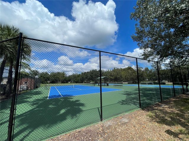 17535 STINCHAR DRIVE, Land O Lakes, FL 34638