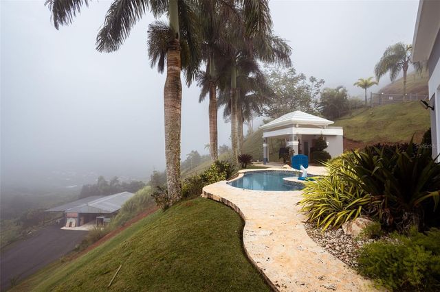 PR 152 KM 7.5 CERRÓ FARALLÓN, Barranquitas, PR 00794