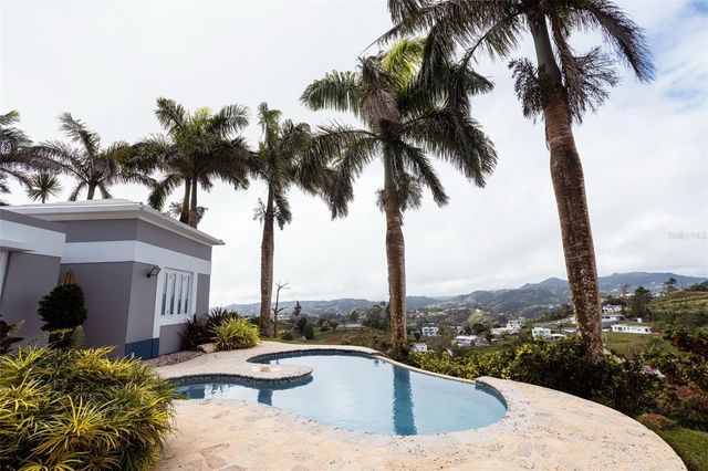 PR 152 KM 7.5 CERRÓ FARALLÓN, Barranquitas, PR 00794