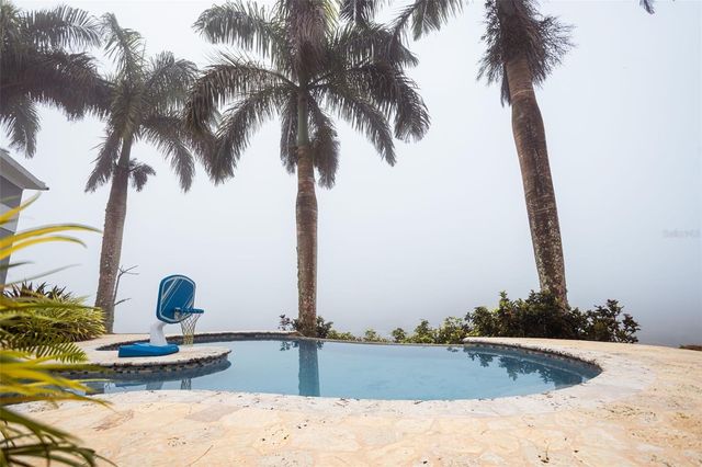 PR 152 KM 7.5 CERRÓ FARALLÓN, Barranquitas, PR 00794