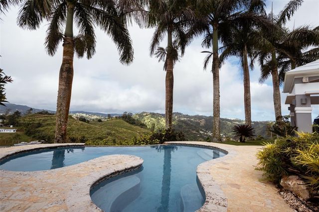 PR 152 KM 7.5 CERRÓ FARALLÓN, Barranquitas, PR 00794