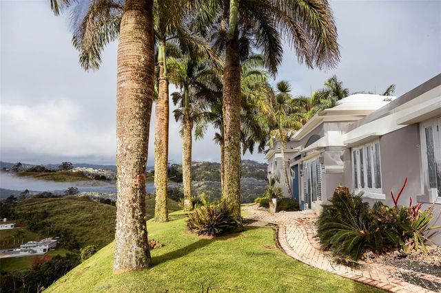 PR 152 KM 7.5 CERRÓ FARALLÓN, Barranquitas, PR 00794