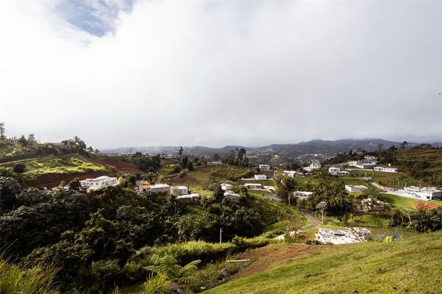 PR 152 KM 7.5 CERRÓ FARALLÓN, Barranquitas, PR 00794