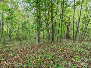 99999 Hummingbird Lane, Asheville, NC 28806