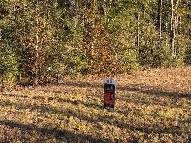 15880 Wooded Trail Way, Willis, TX 77378