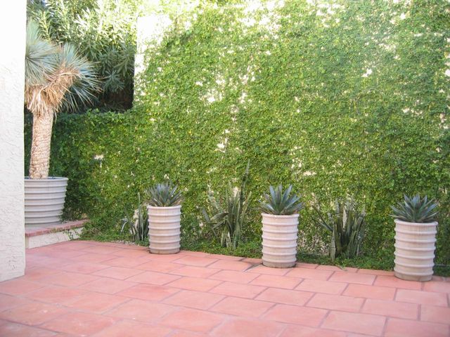 4819 N 35th Place, Phoenix, AZ 85018