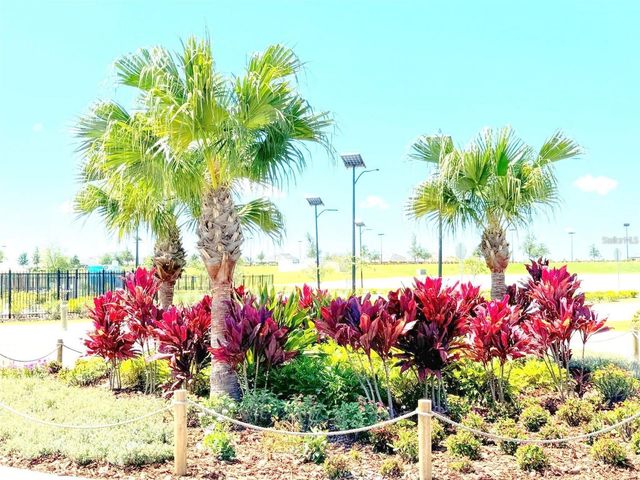 10443 LAVENDER ASTER TRAIL, San Antonio, FL 33576