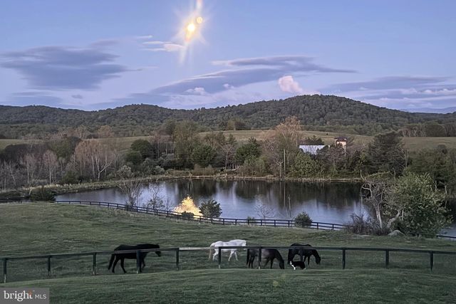 23 WHITE HORSE HILL LN, Amissville, VA 20106