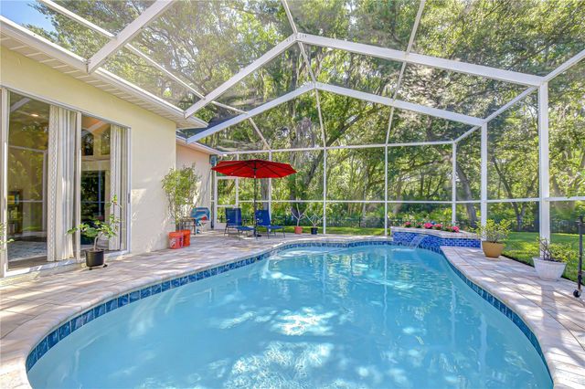 16918 HARRIERRIDGE PLACE, Lithia, FL 33547