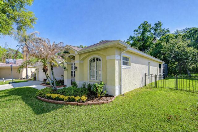 16918 HARRIERRIDGE PLACE, Lithia, FL 33547