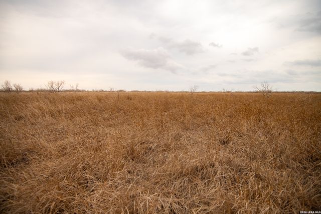 905 county road 341, Jourdanton, TX 78026