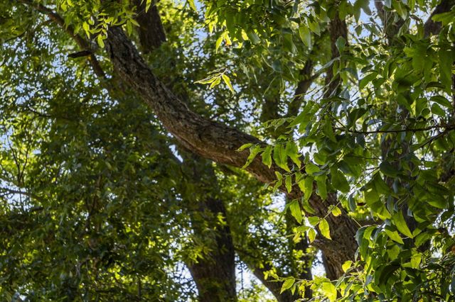 42362 State Hwy 413, Crane, MO 65633