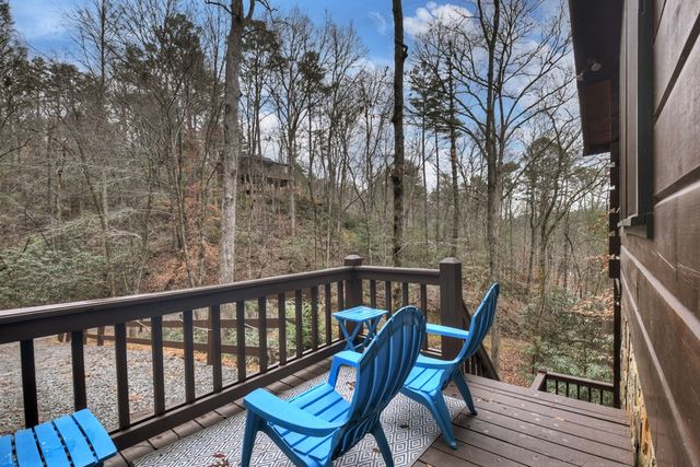 488 Joanne Sisson Road, Blue Ridge, GA 30513
